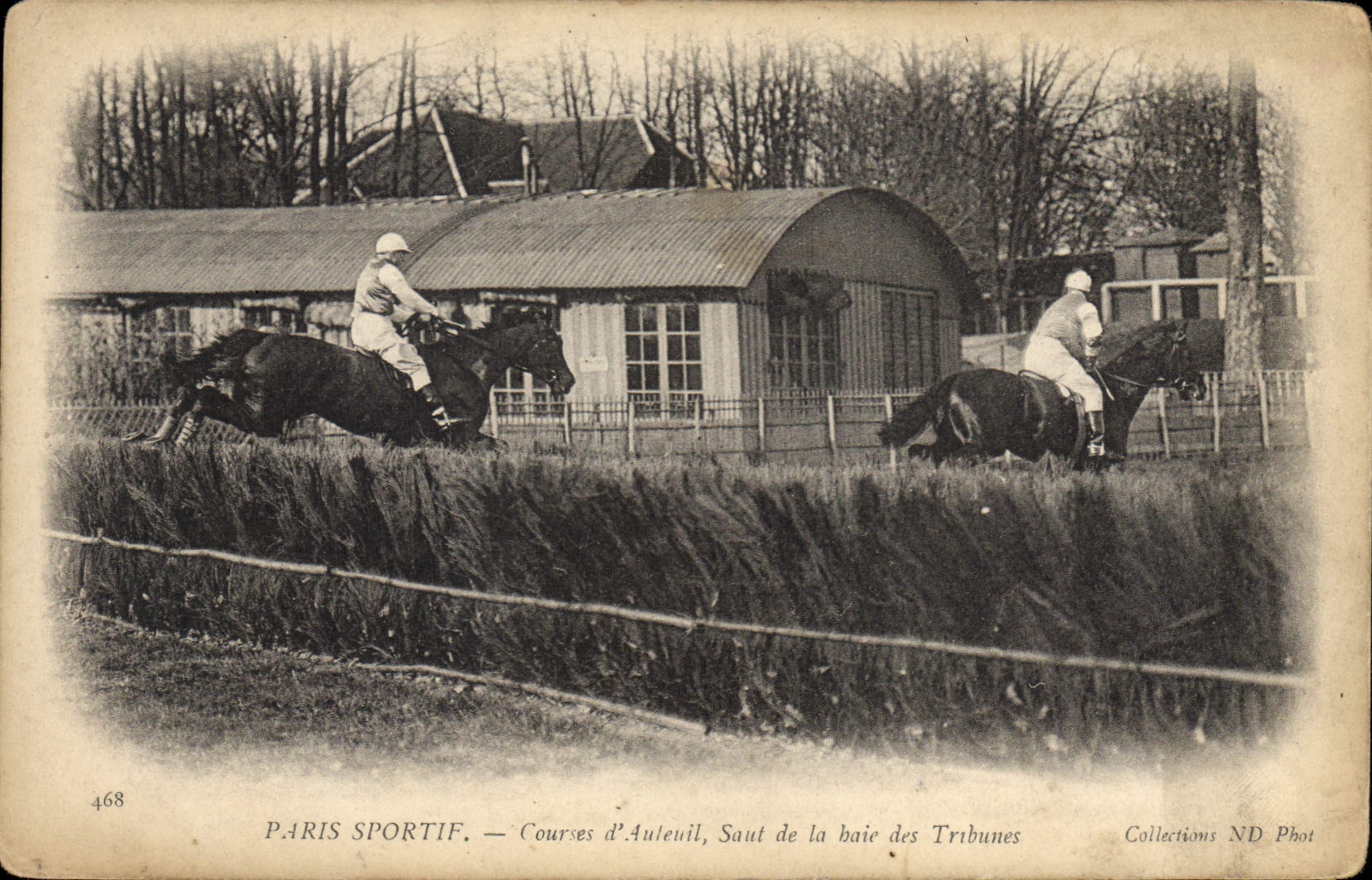 CPA Cheval Equitation Hippisme Paris sportif Courses d'Auteuil saut de la haie des tribunes