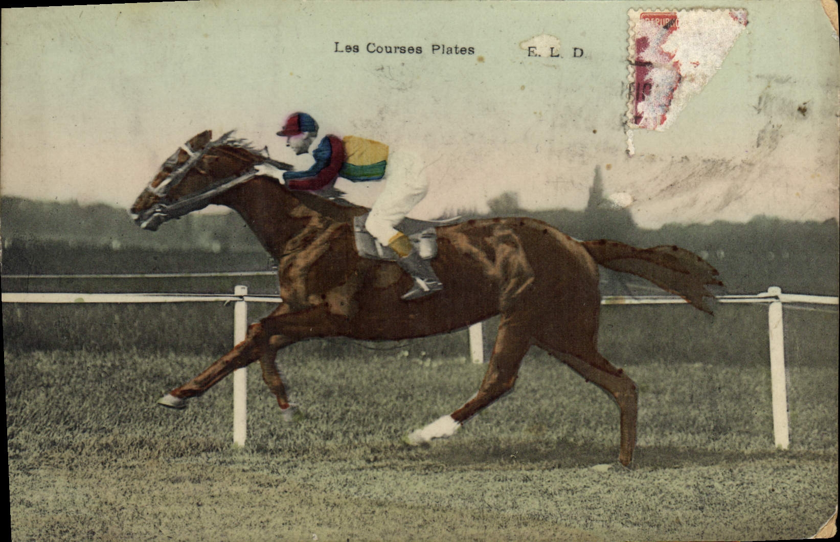 CPA Cheval Equitation Hippisme Les courses pistes