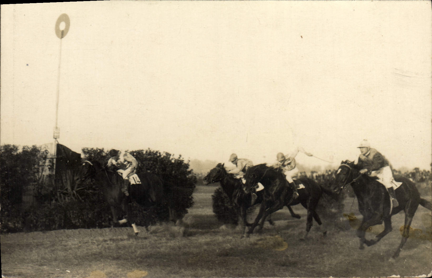 Jinete de Hippisme de la equitación del caballo de la POSTAL de la VENDIMIA
