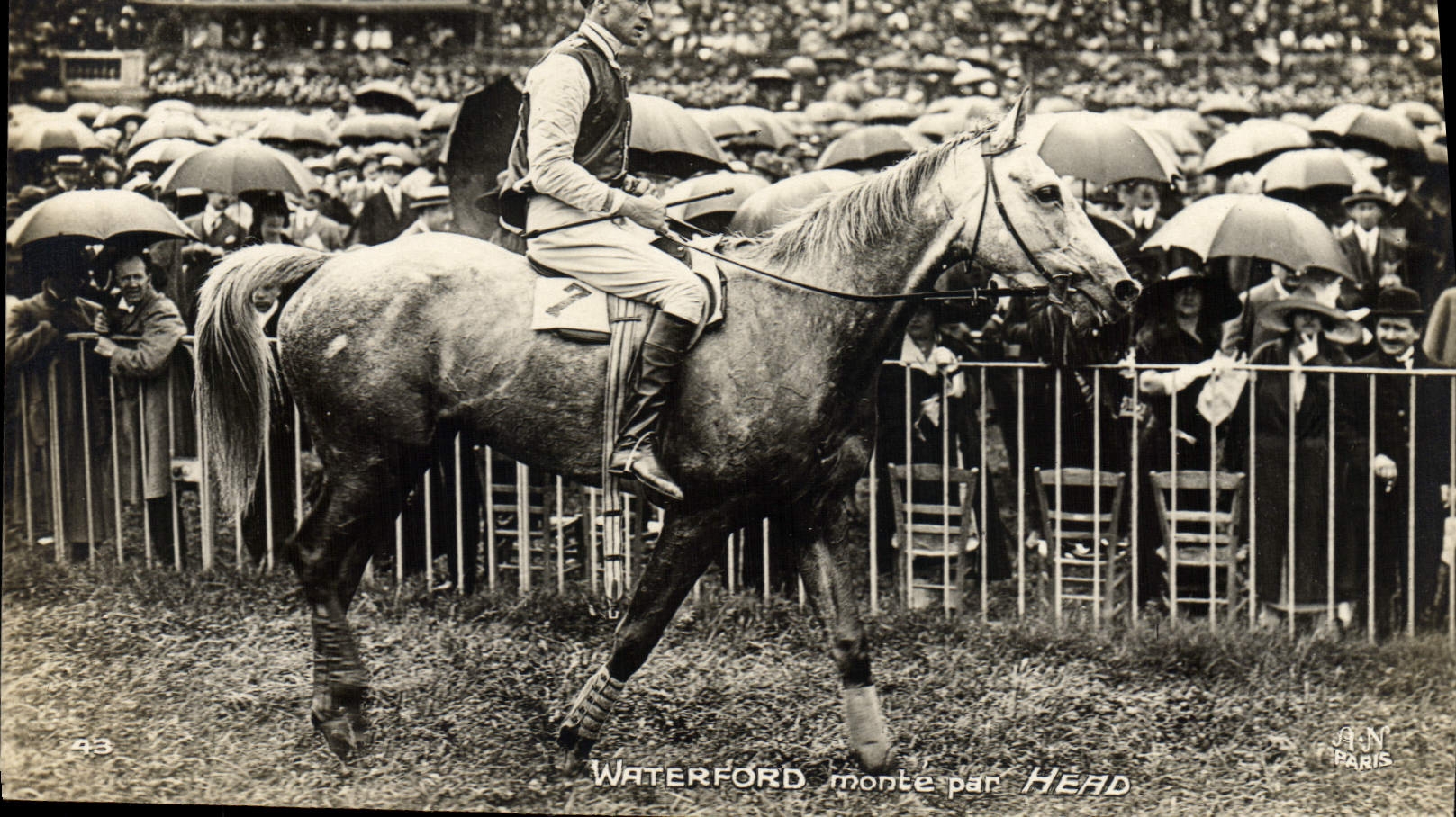 La equitación Hippisme Waterford de Cheval de la POSTAL de la VENDIMIA sube por Head