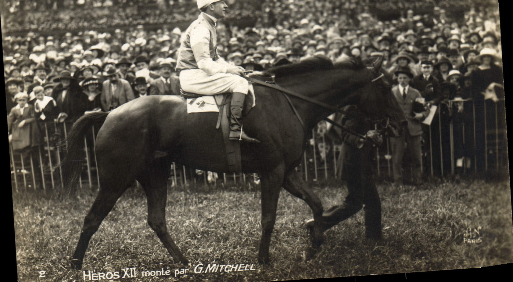 CPA Cheval Equitation Hippisme Heros XII monte par G Mitchell