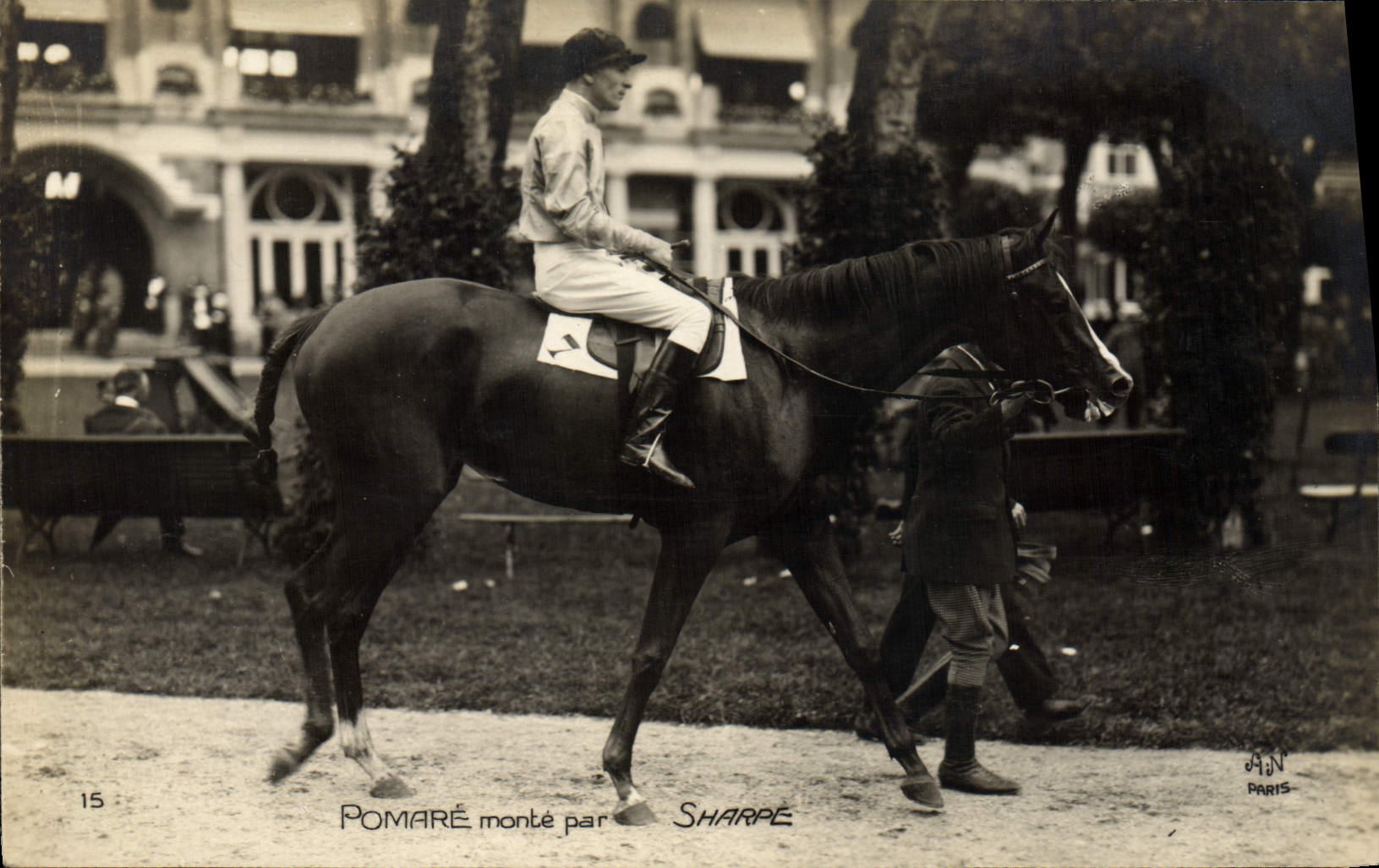 CPA Cheval Equitation Hippisme Pomare monte par Sharpe