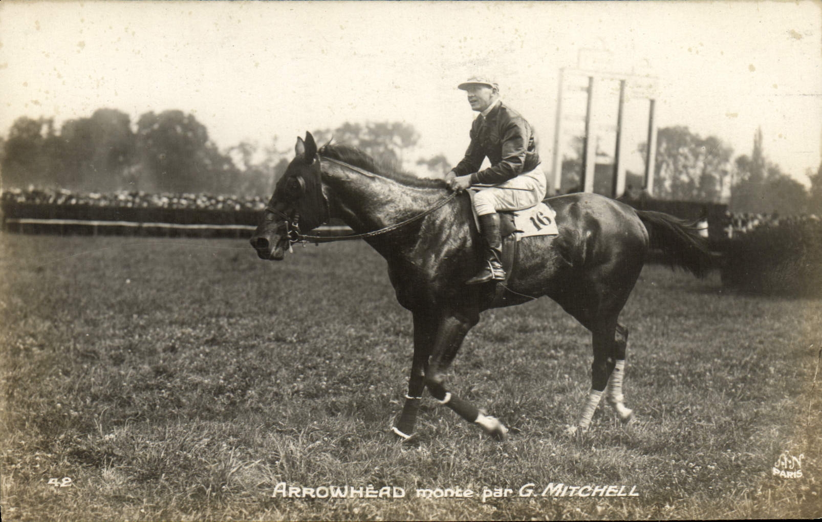 CPA Cheval Equitation Hippisme Arrowhead monte par G Mitchell