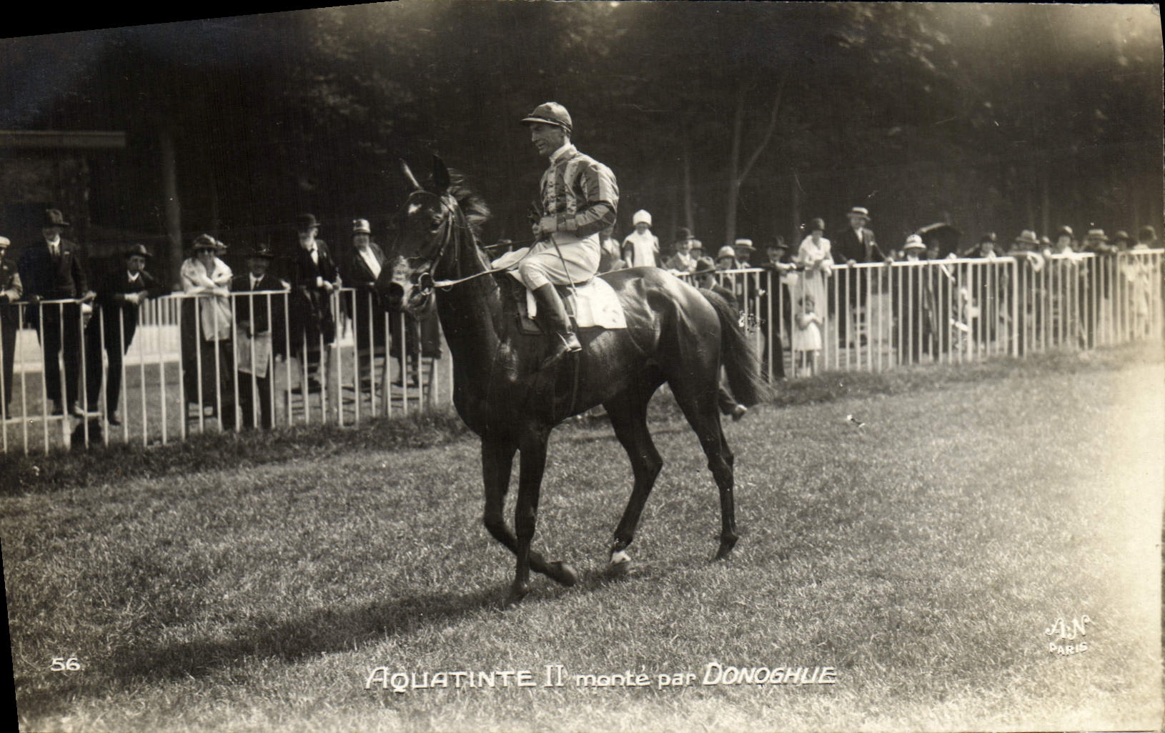 VINTAGE POSTCARD Cheval Horsemanship Hippisme Aquatinte II goes up by Donoghue price of Diane 1923