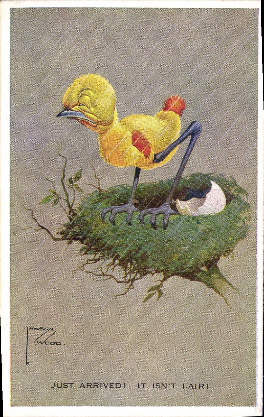 VINTAGE POSTCARD Fantasy Illustrator Chick egg Lawson Wood