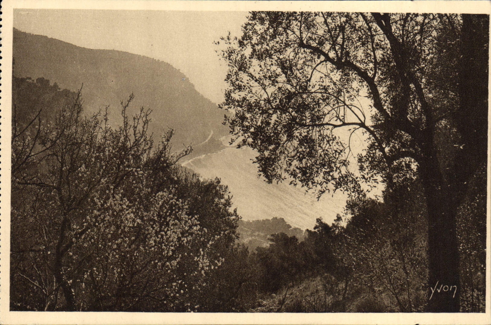 VINTAGE POSTCARD Point of Esquillon