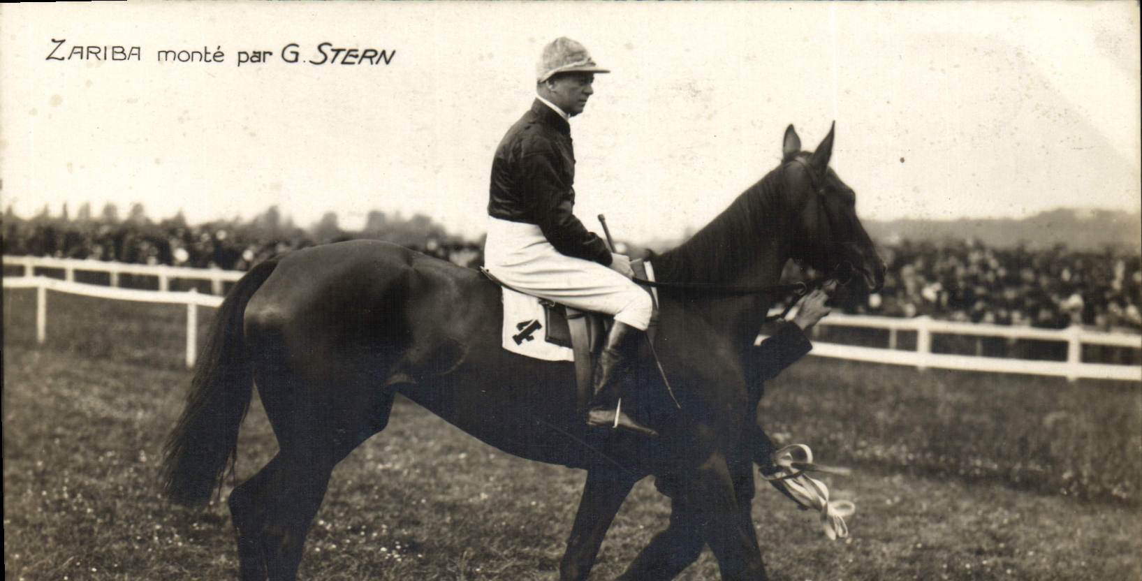 VINTAGE POSTCARD Cheval Horsemanship Hippisme Zariba goes up per G Stern