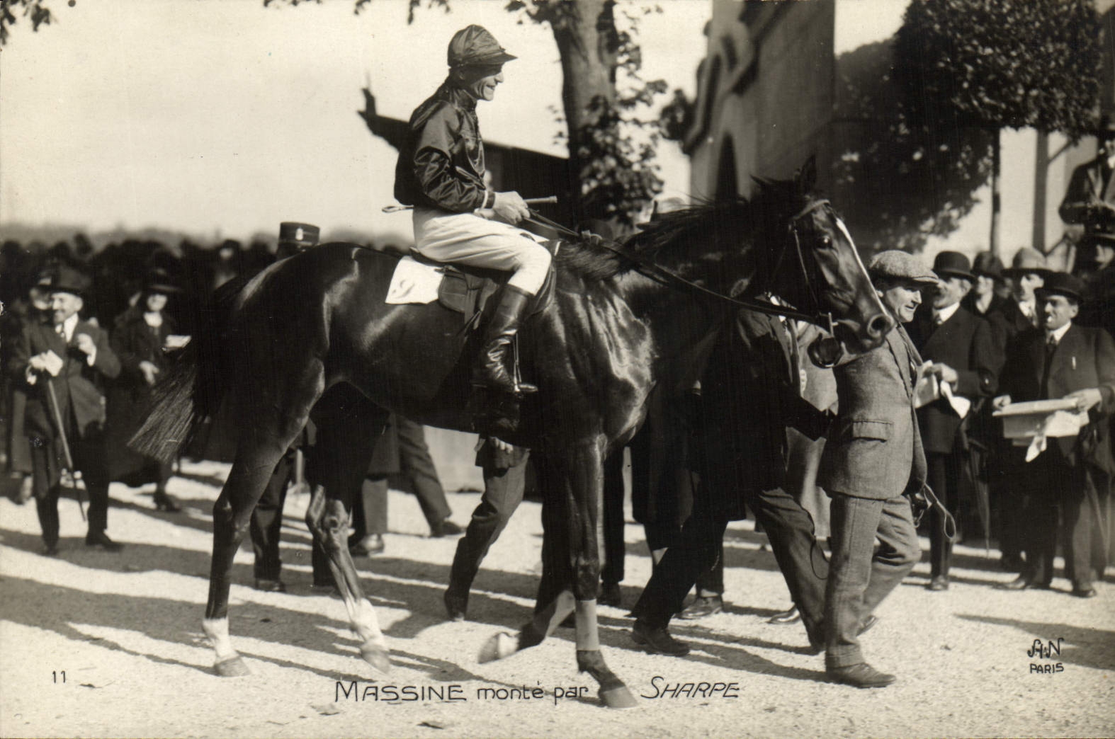VINTAGE POSTCARD Cheval Horsemanship Hippisme Massine goes up by Sharpe