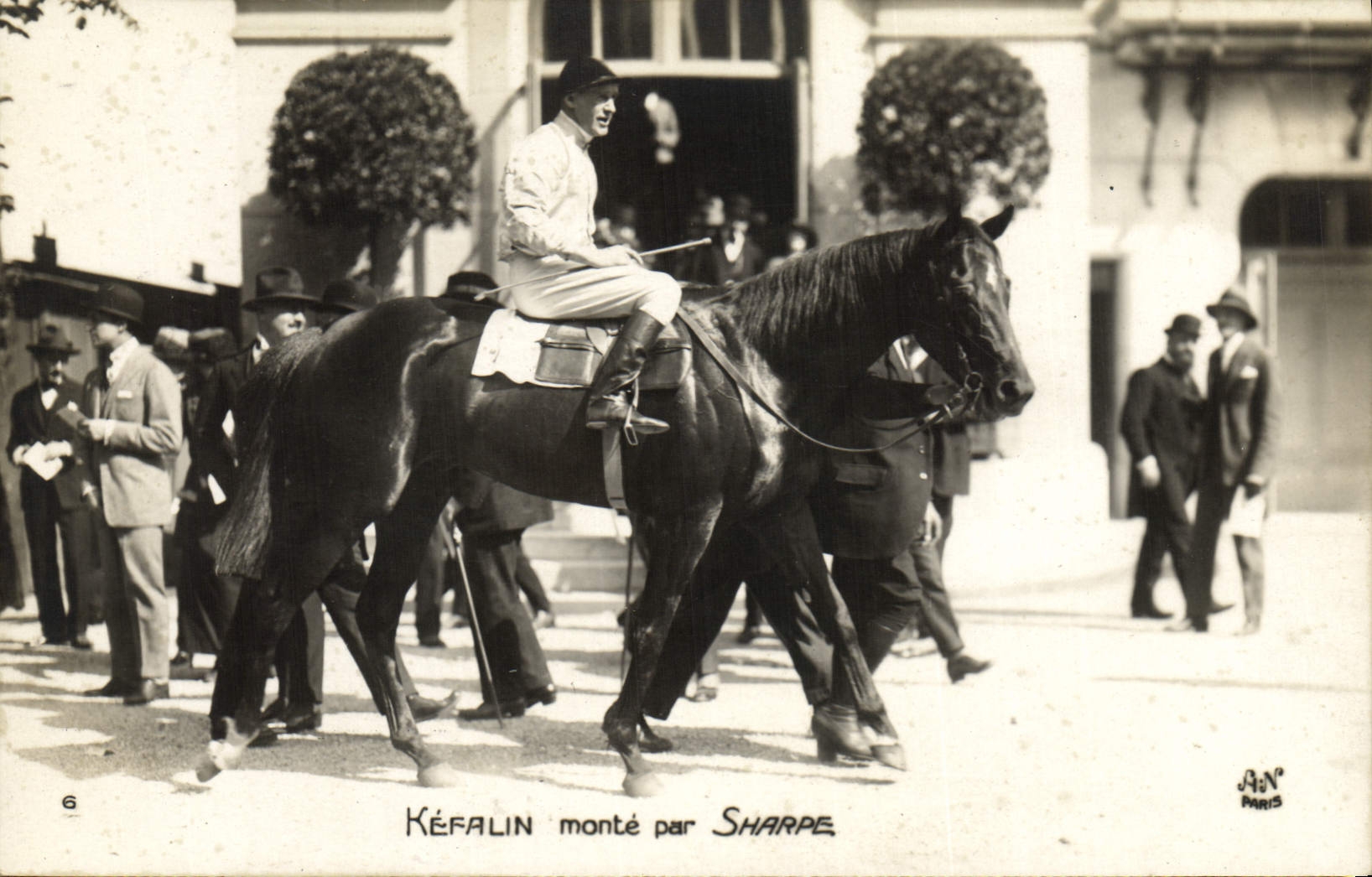 VINTAGE POSTCARD Cheval Horsemanship Hippisme Kefalin goes up by Sharpe