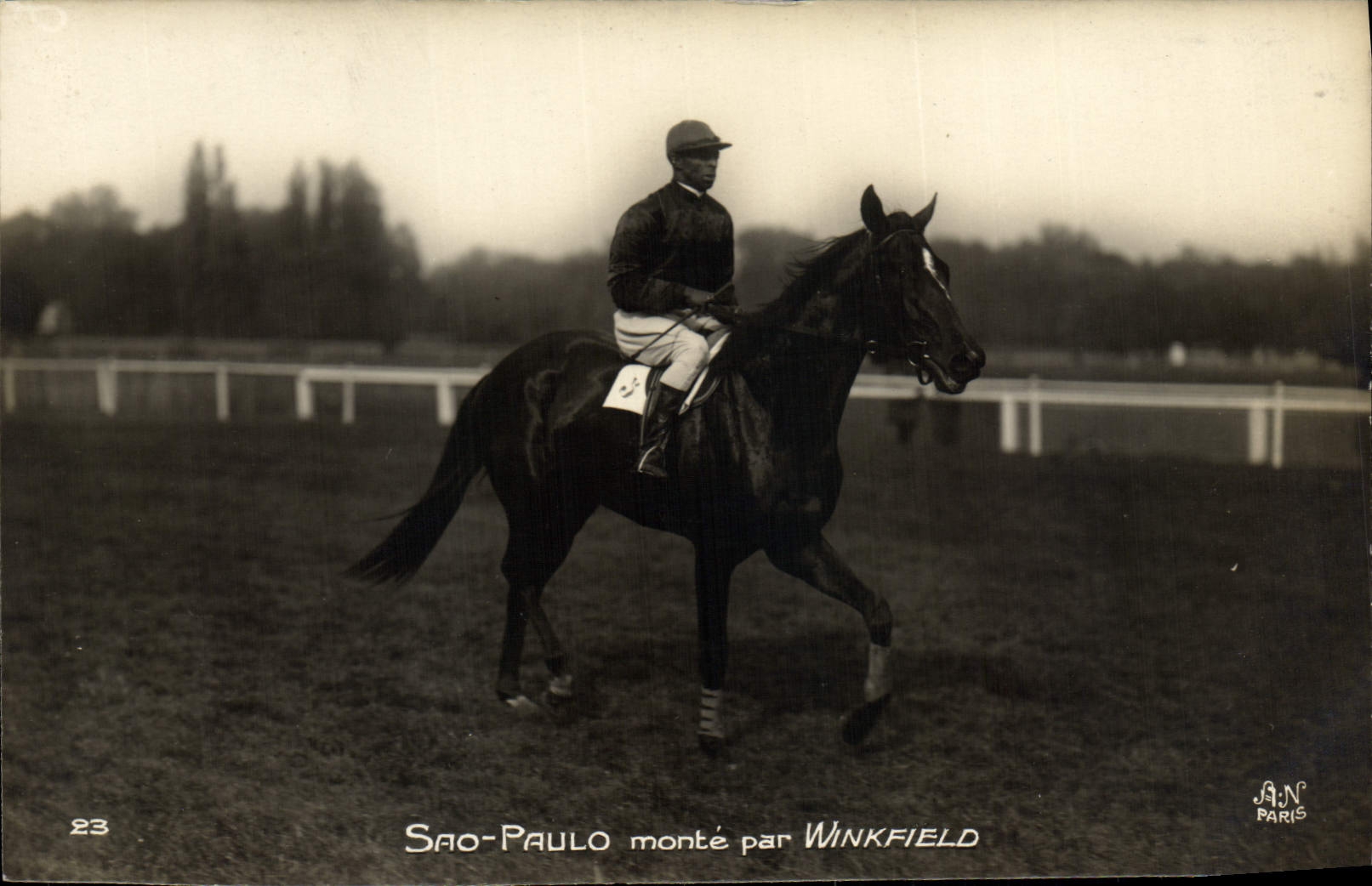 CPA Cheval Equitation Hippisme Sao Paulo monte par Winkfield