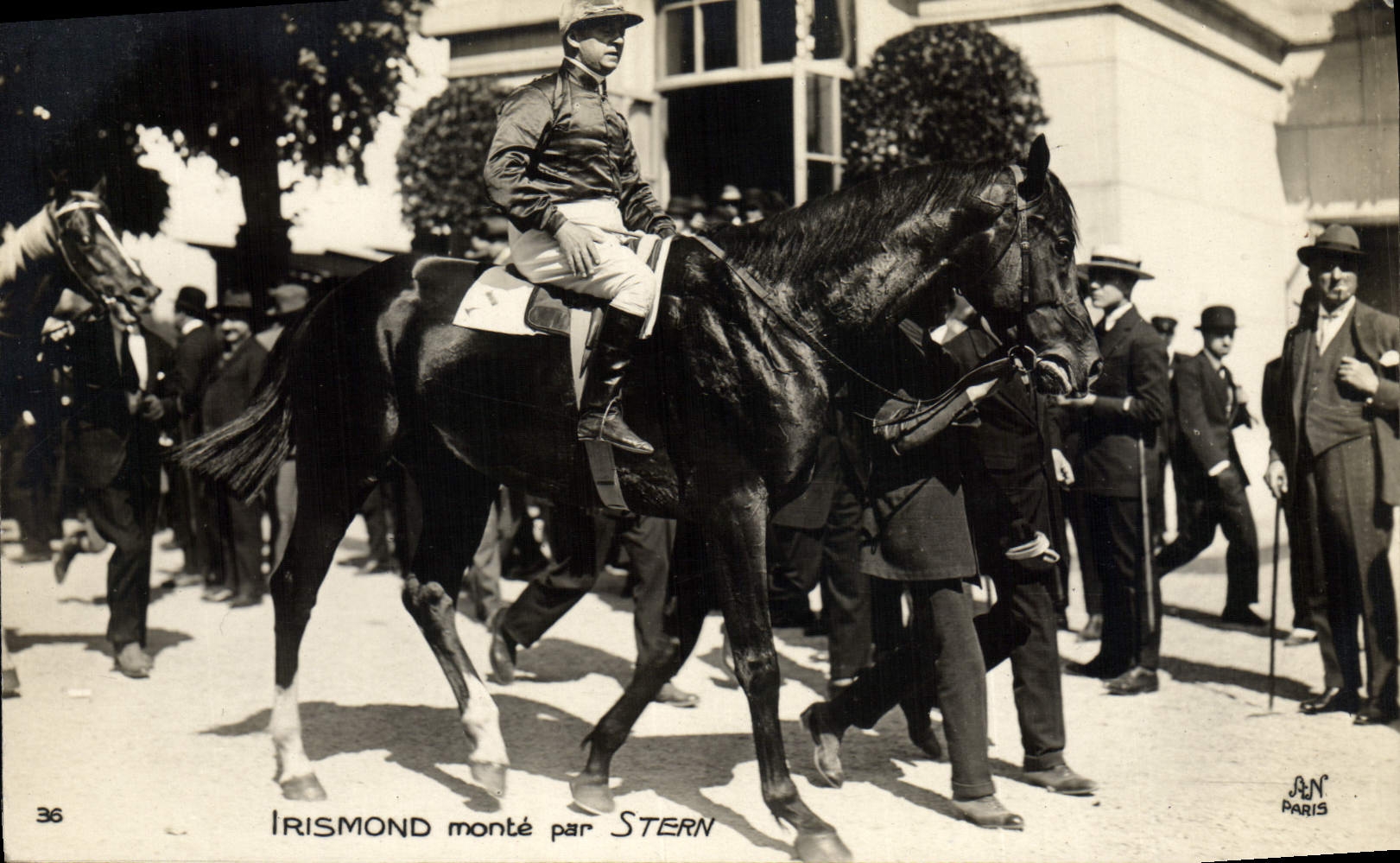 VINTAGE POSTCARD Cheval Horsemanship Hippisme Irismond goes up by Stern