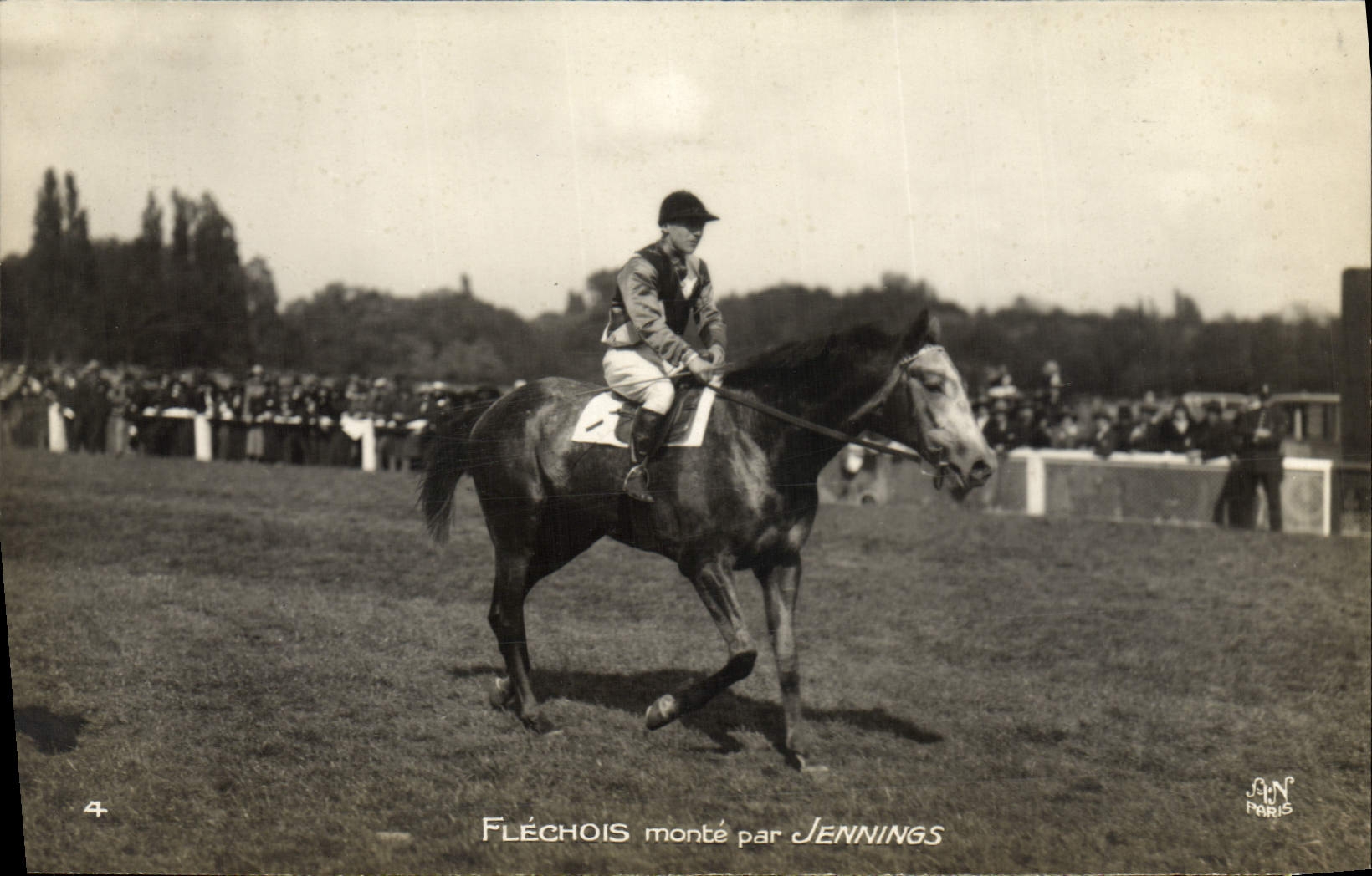 VINTAGE POSTCARD Cheval Horsemanship Hippisme Flechois goes up by Jennings