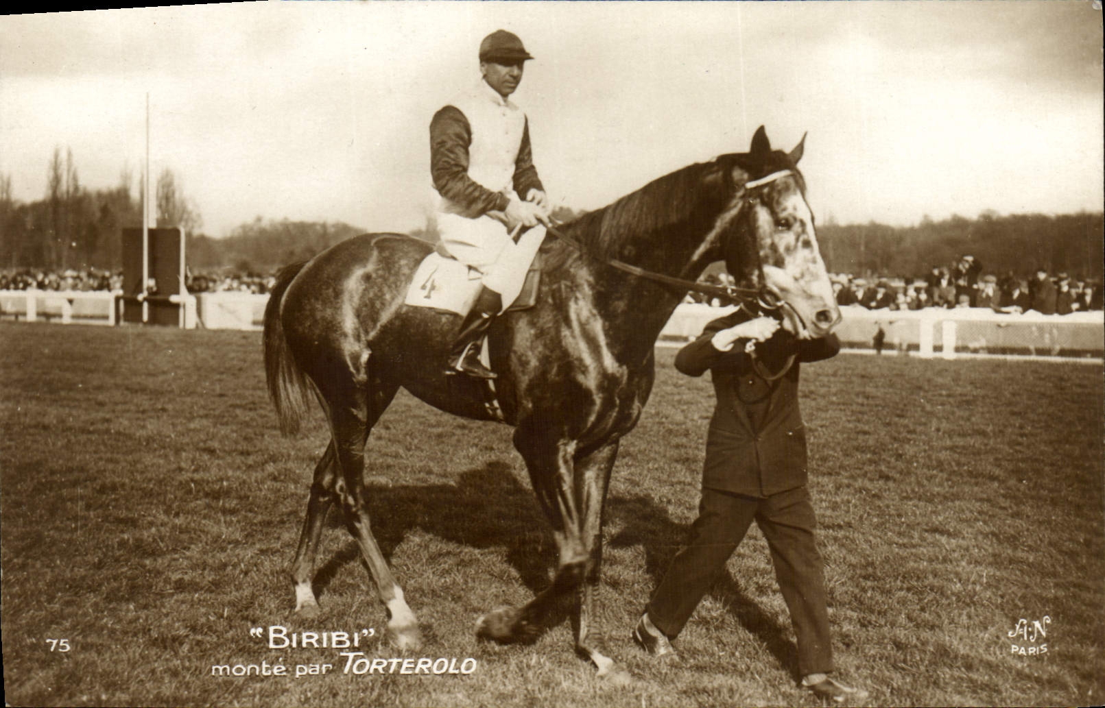 CPA Cheval Equitation Hippisme Biribi monte par Torterolo