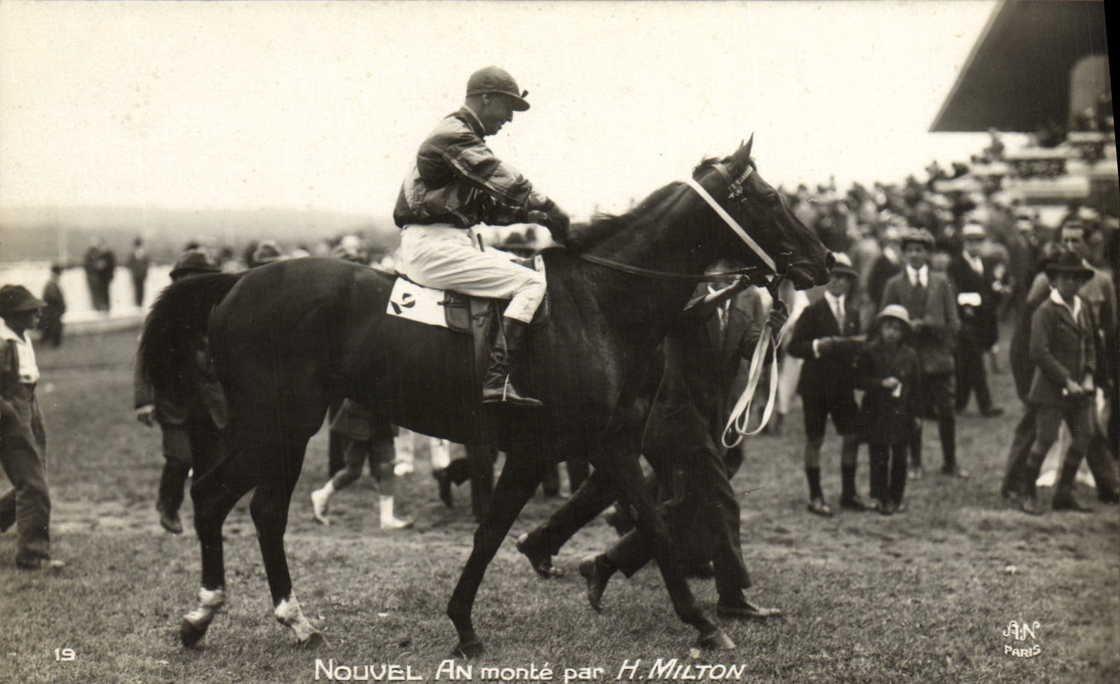 VINTAGE POSTCARD Cheval Horsemanship Hippisme New year goes up by H Milton