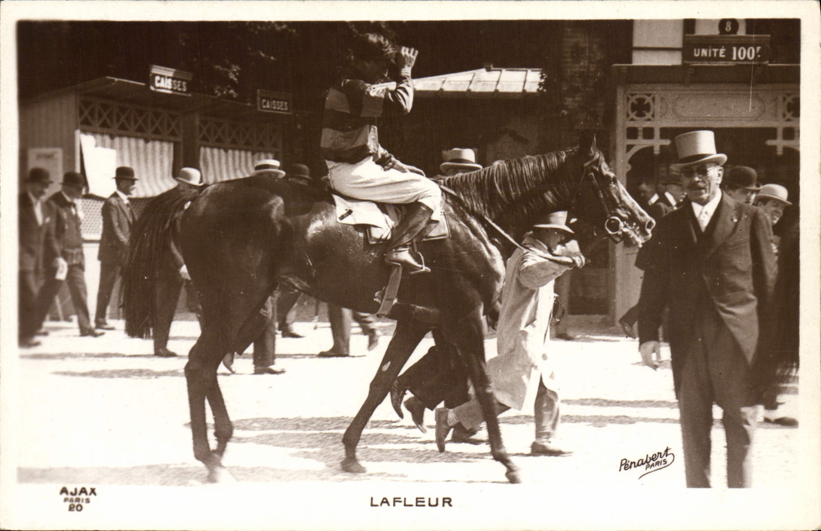Equitación Hippisme Lafleur del caballo de la POSTAL de la VENDIMIA
