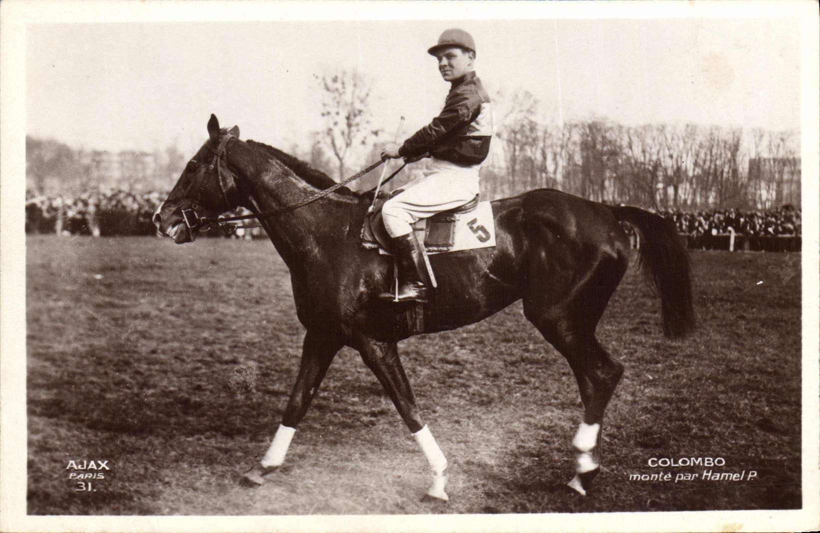 VINTAGE POSTCARD Cheval Horsemanship Hippisme Colombo goes up by Hamel
