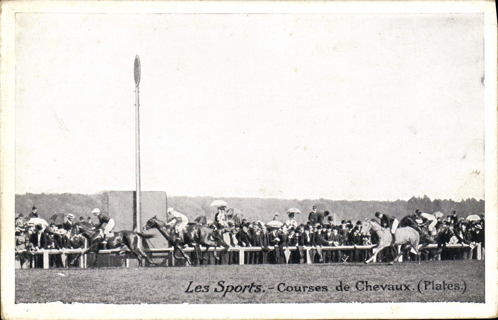 CPA Cheval Equitation Hippisme Les sports Courses de chevaux Plates