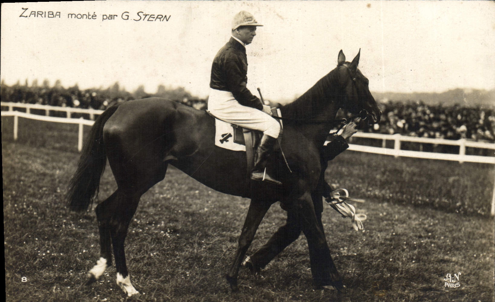 CPA Cheval Equitation Hippisme Zariba monte par G Stern
