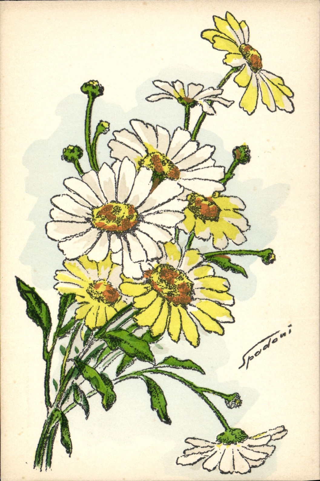 CPA Fantaisie Illustrateur Fleurs Spadoni