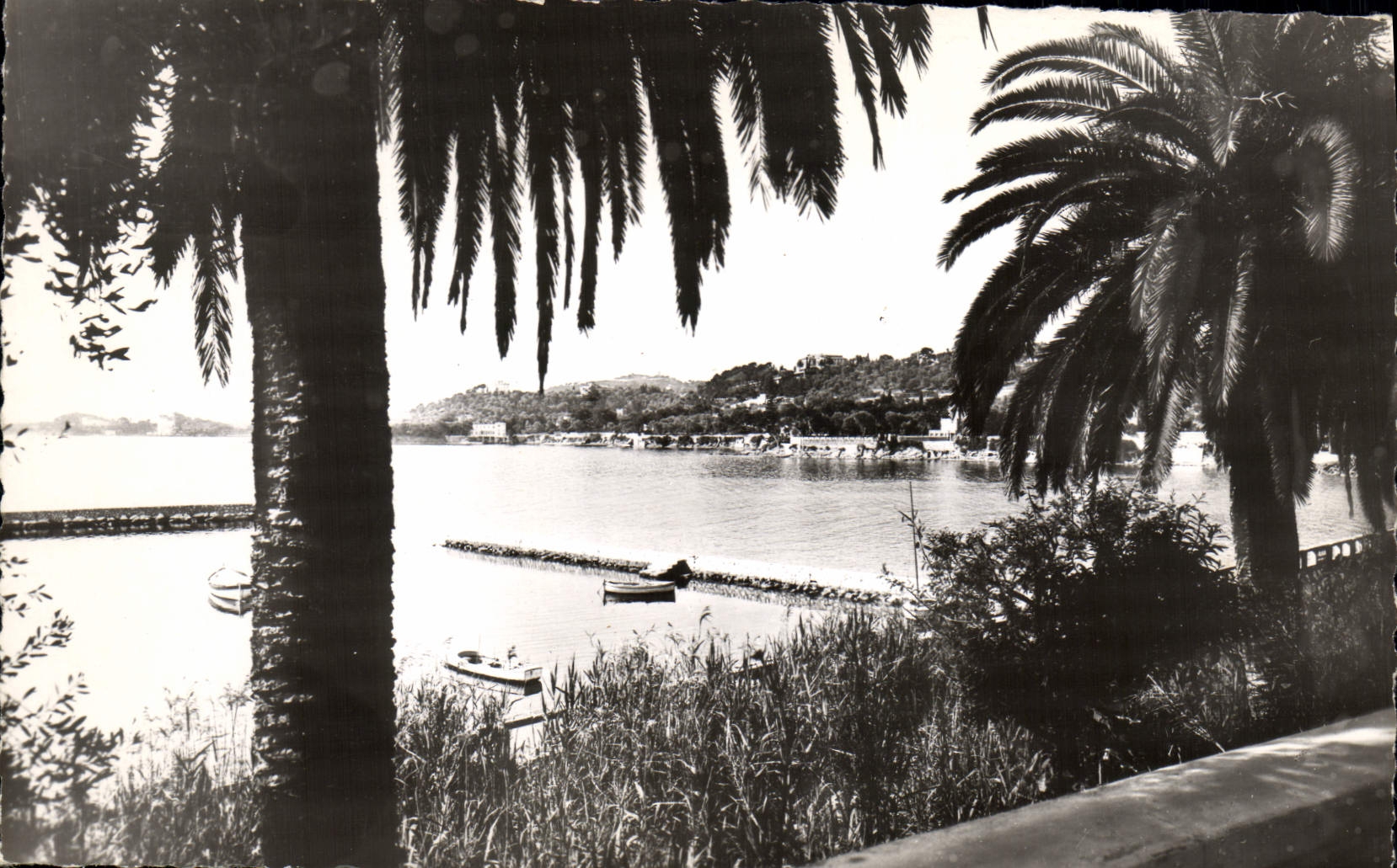 CPM Beaulieu Sur Mer Vue Sur la Mer et le Cap Ferrat