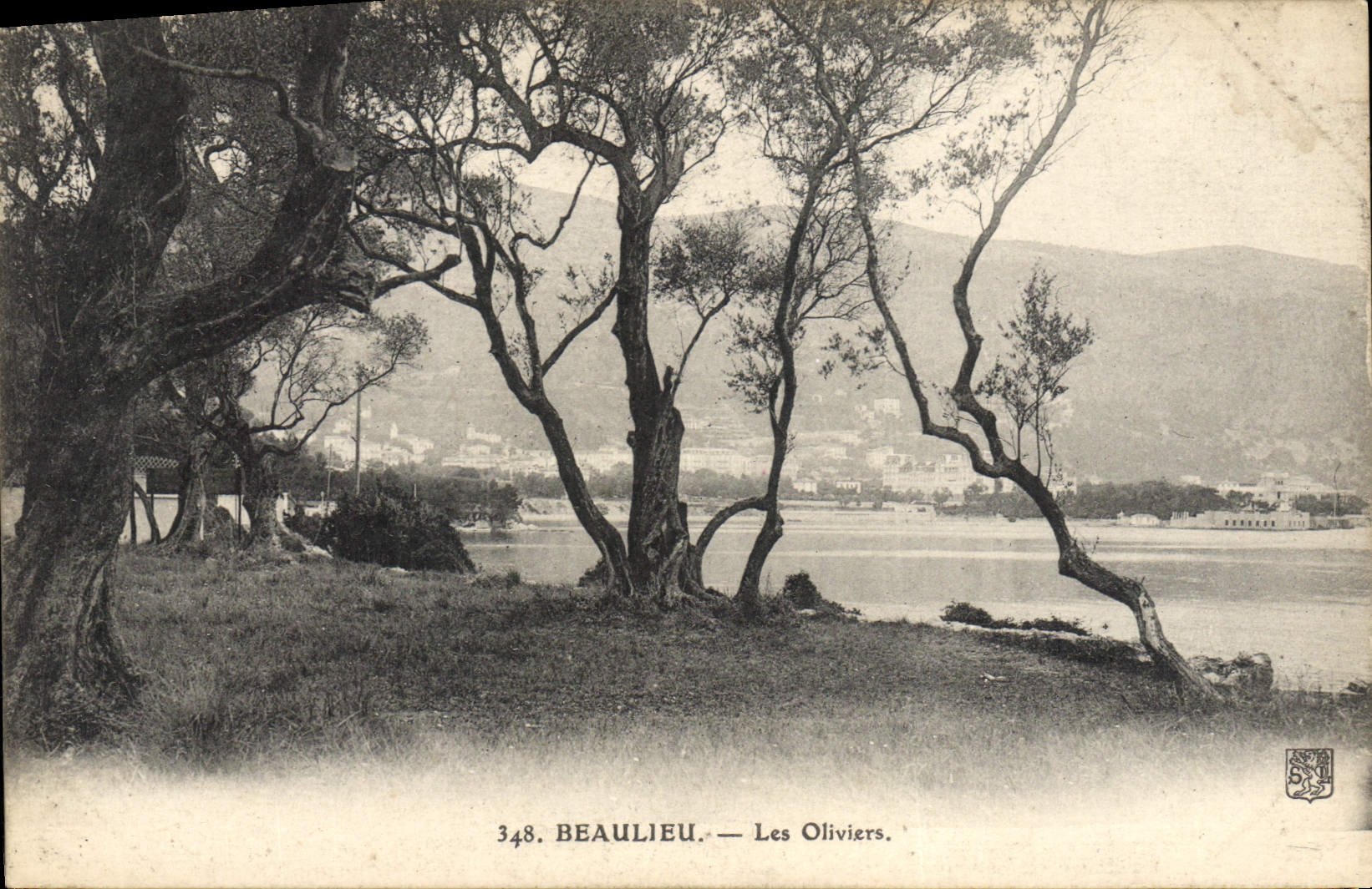 CPA Beaulieu Les Oliviers