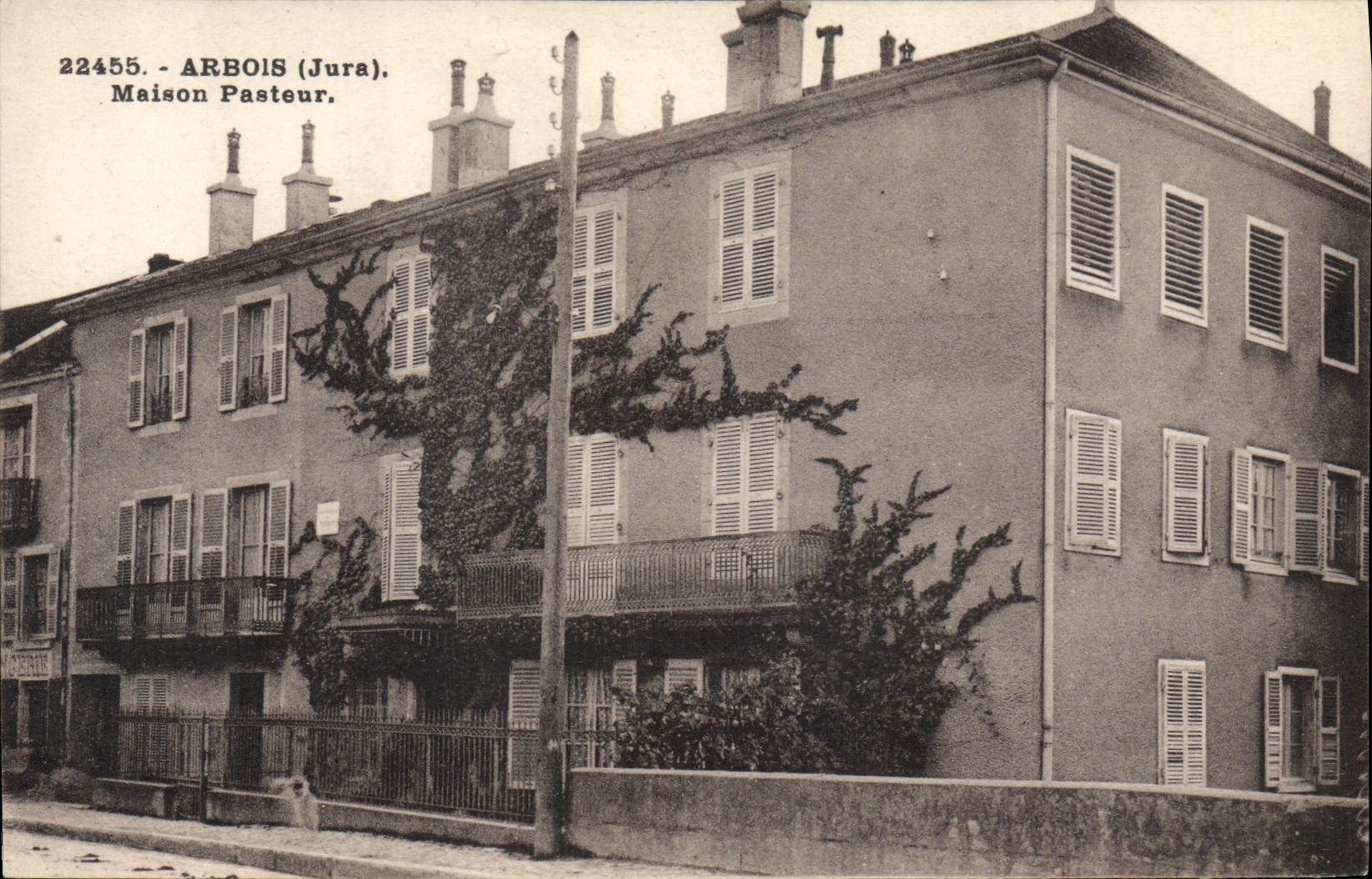 VINTAGE POSTCARD Alpine laburnum Pasteur House
