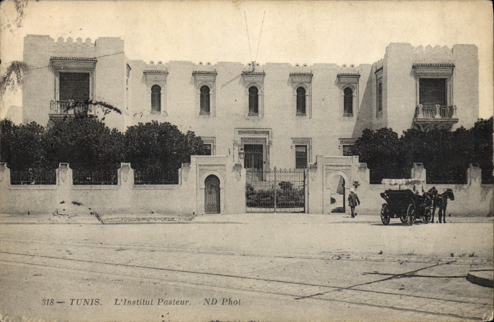 VINTAGE POSTCARD Tunisia Tunis Pasteur Institute