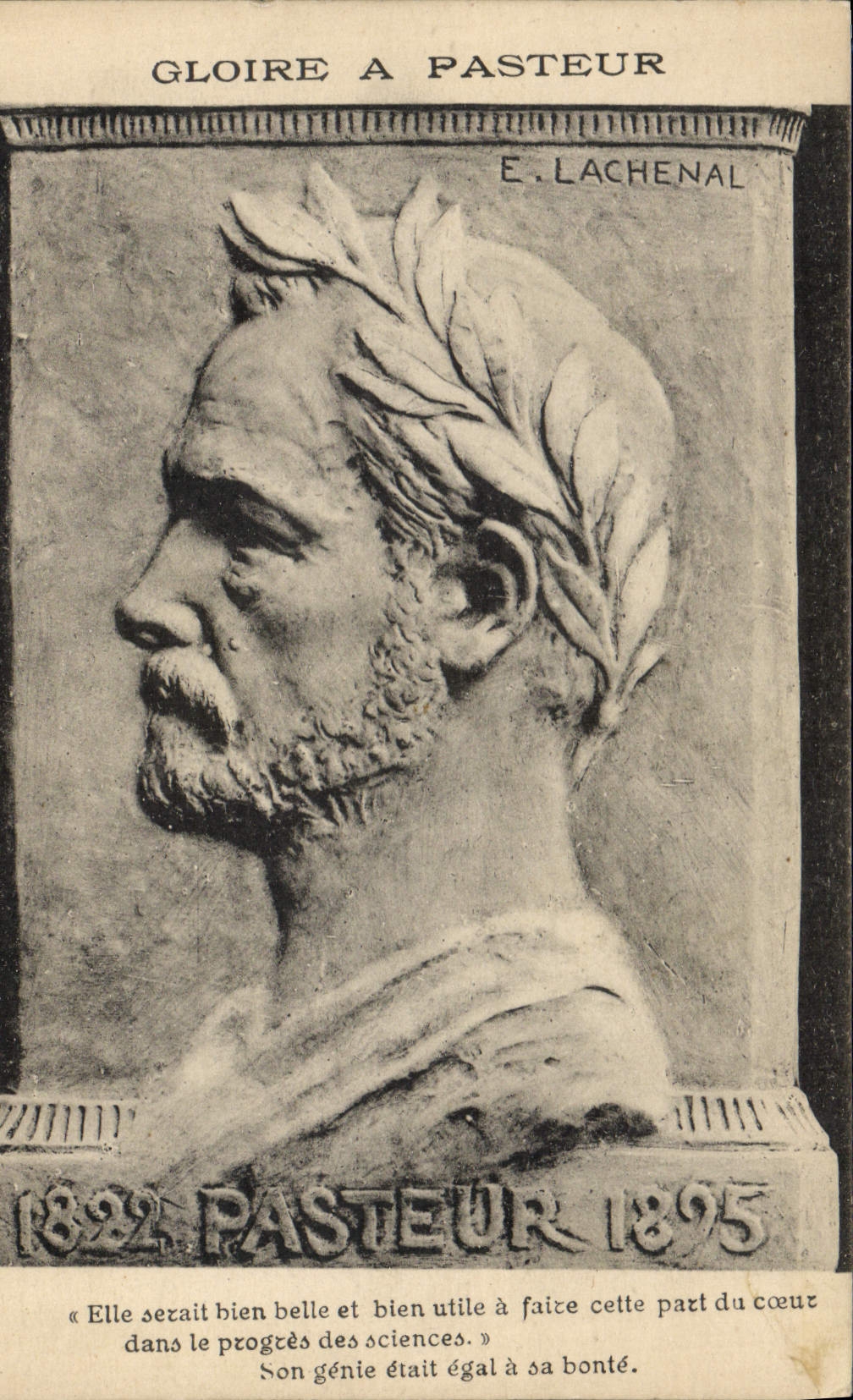 VINTAGE POSTCARD Pasteur Lachenal