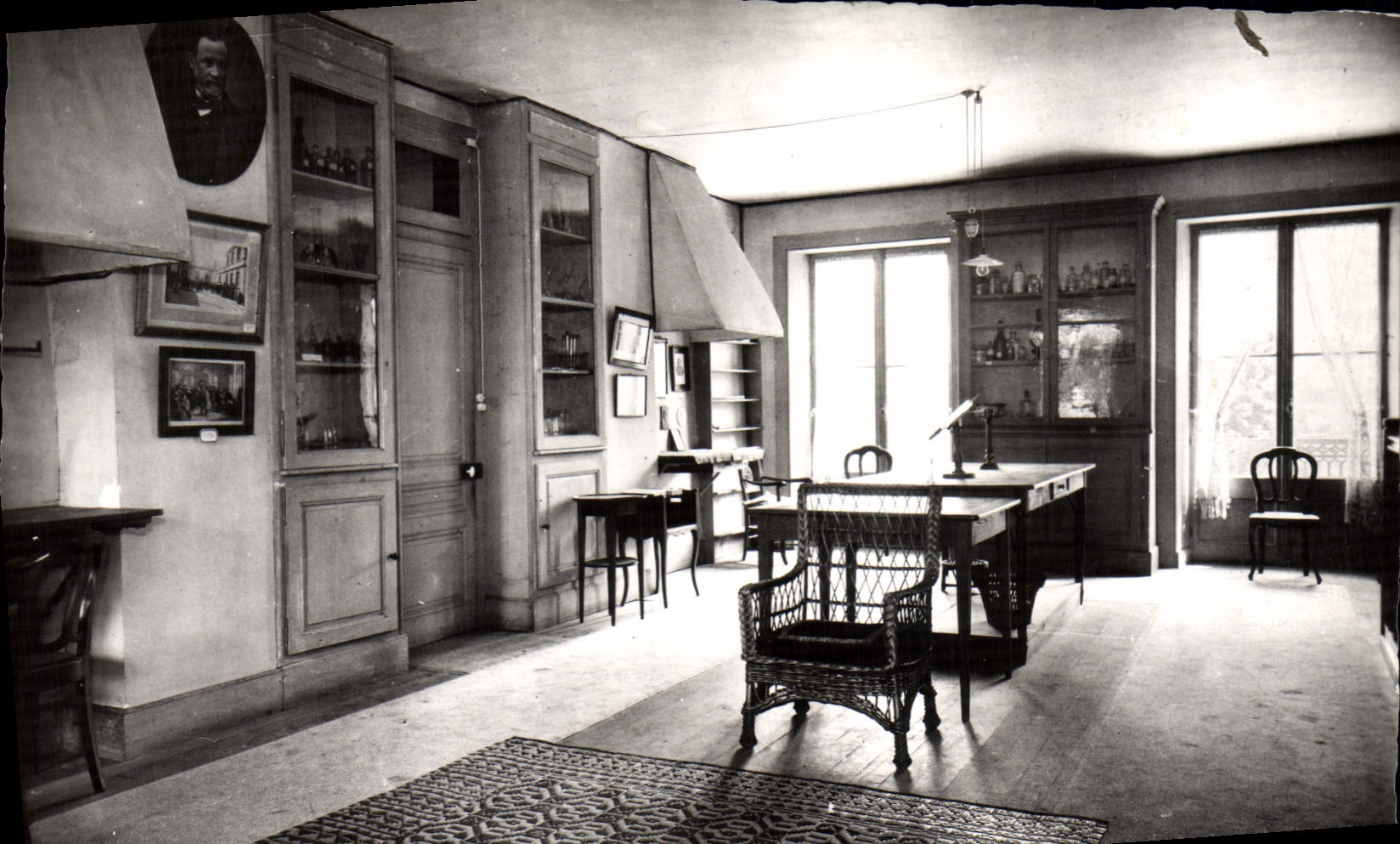 MODERN CARD Alpine laburnum paternal House of Pasteur the laboratory