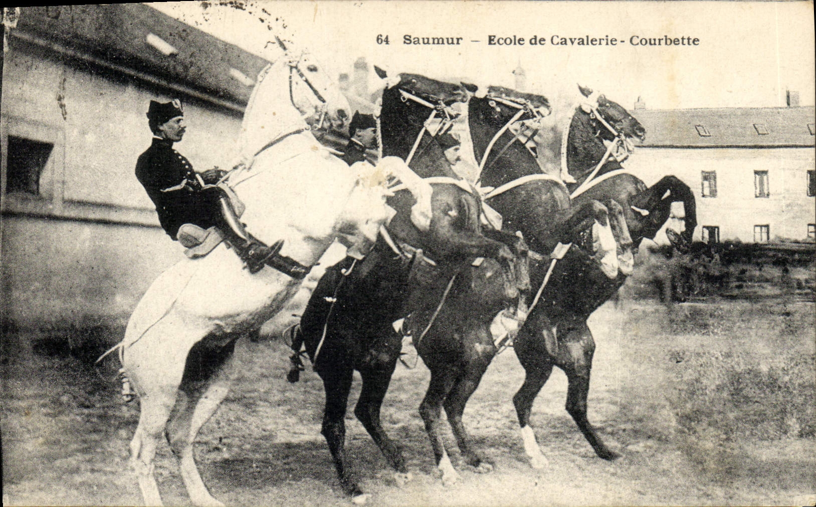 Escuela de Hippisme Saumur de la equitación del caballo de la POSTAL de la VENDIMIA de la caballería de Courbette