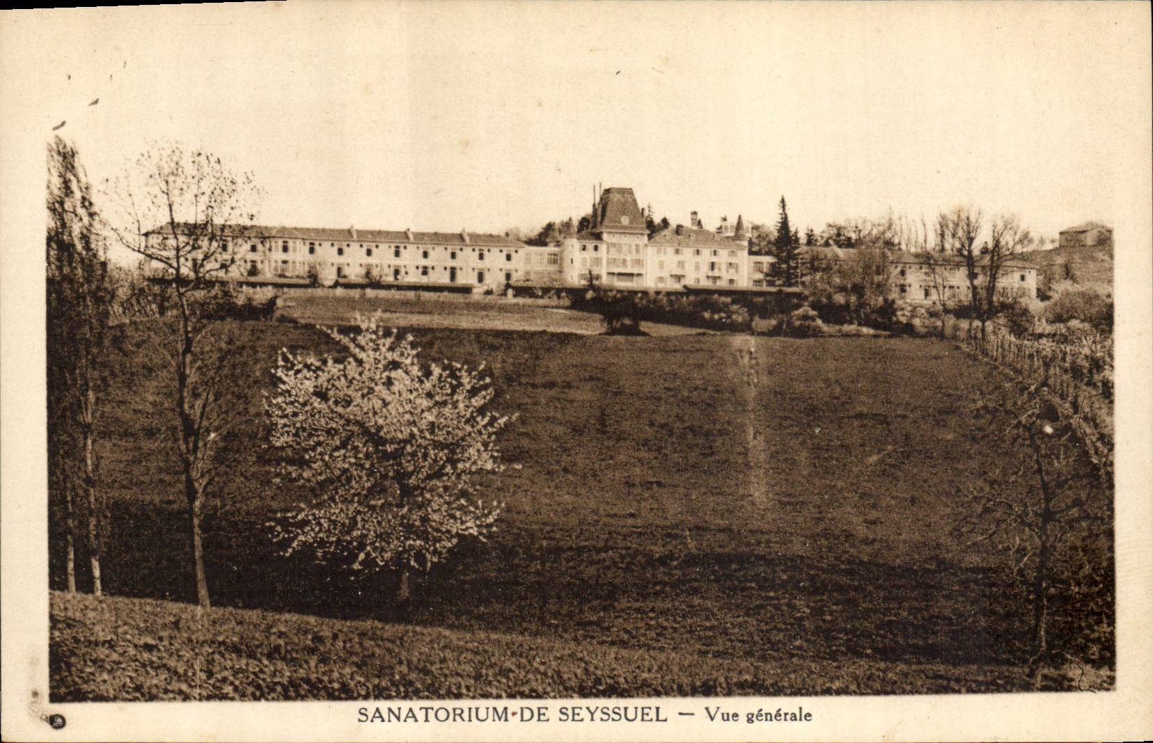 VINTAGE POSTCARD Sanatorium De Seyssuel View
