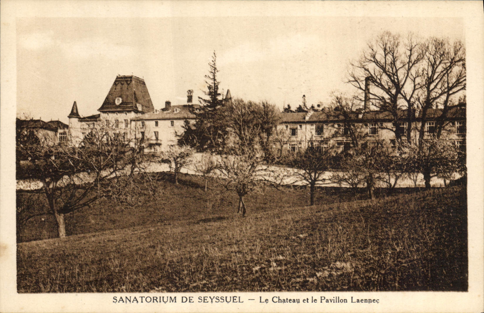 VINTAGE POSTCARD Sanatorium De Seyssuel the Castle and the Laennec House