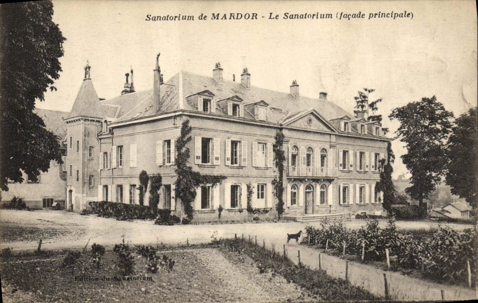 Sanatorio de la POSTAL de la VENDIMIA de Mardor el sanatorio
