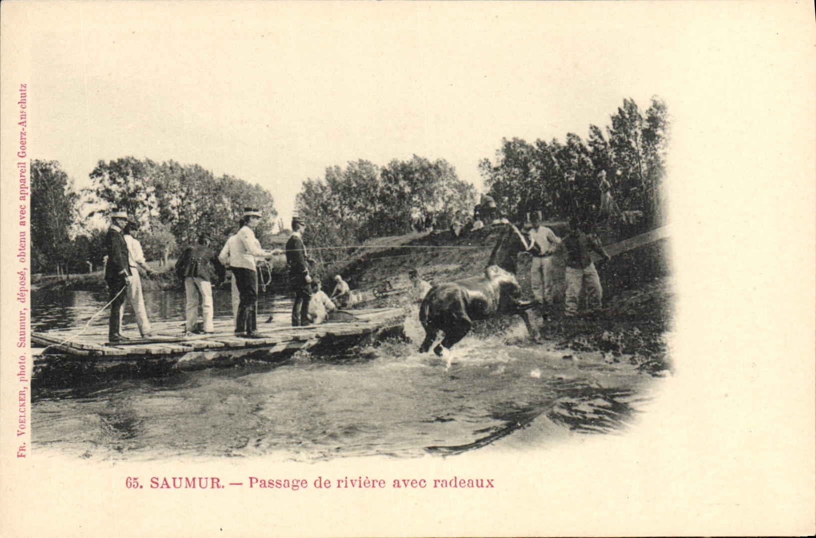 Paso de Hippisme Saumur de la equitación del caballo de la POSTAL de la VENDIMIA del río con las balsas