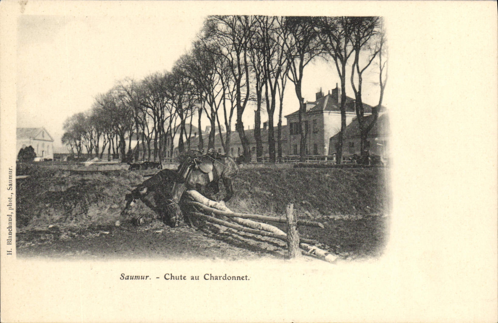 CPA Cheval Equitation Hippisme Saumur Chute au Chardonnet