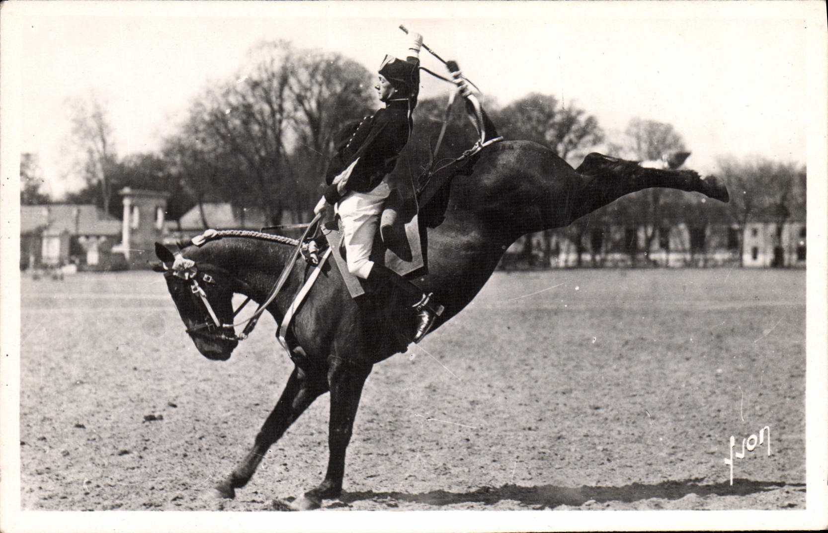 Equitación Hippisme Saumur del caballo de la POSTAL de la VENDIMIA la escuela de la caballería de Croupade