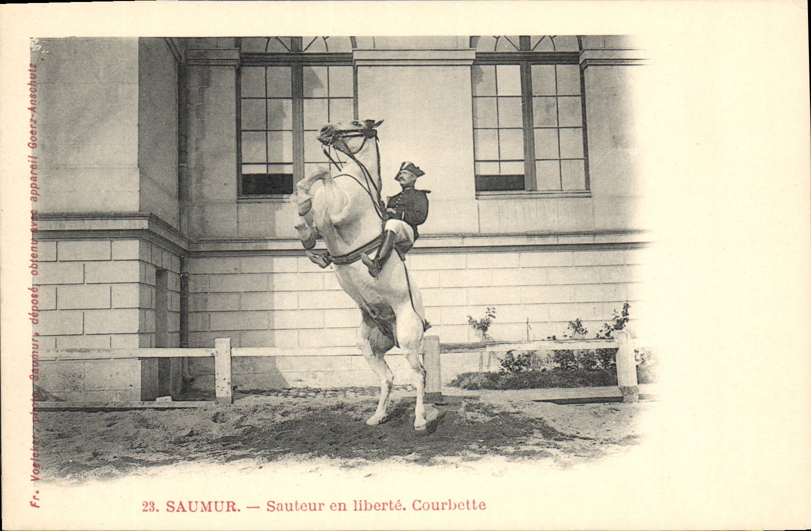 CPA Cheval Equitation Hippisme Saumur Sauteur en liberte Courbette