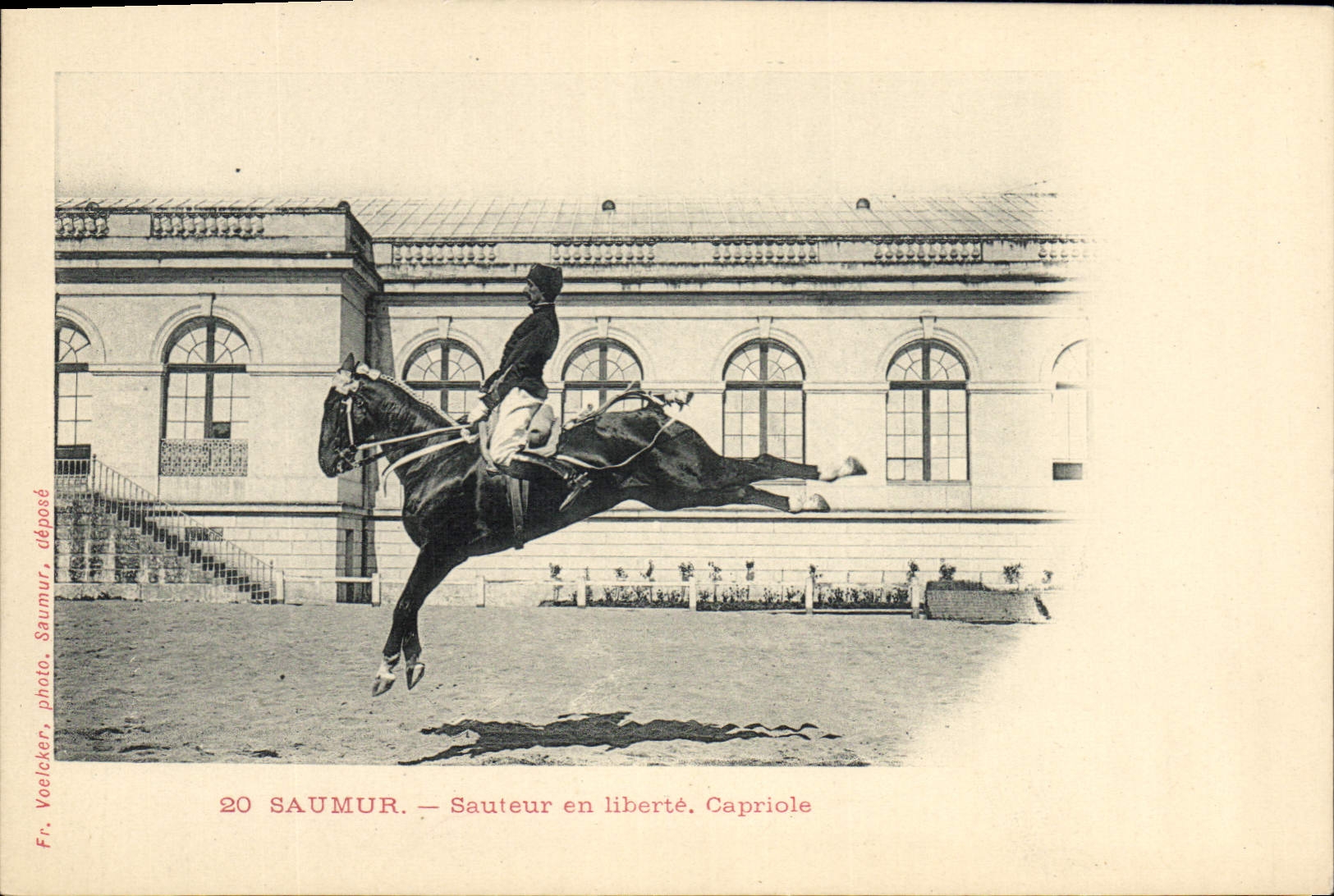 Puente de Hippisme Saumur de la equitación del caballo de la POSTAL de la VENDIMIA en la libertad de la cabriola