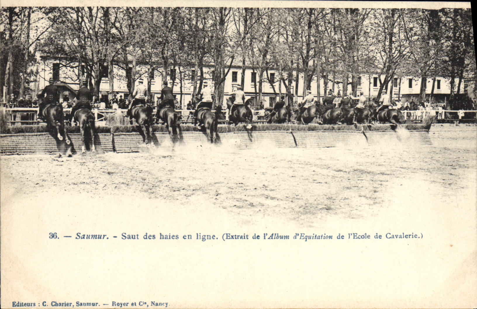Salto de Hippisme Saumur de la equitación del caballo de la POSTAL de la VENDIMIA de los setos en línea