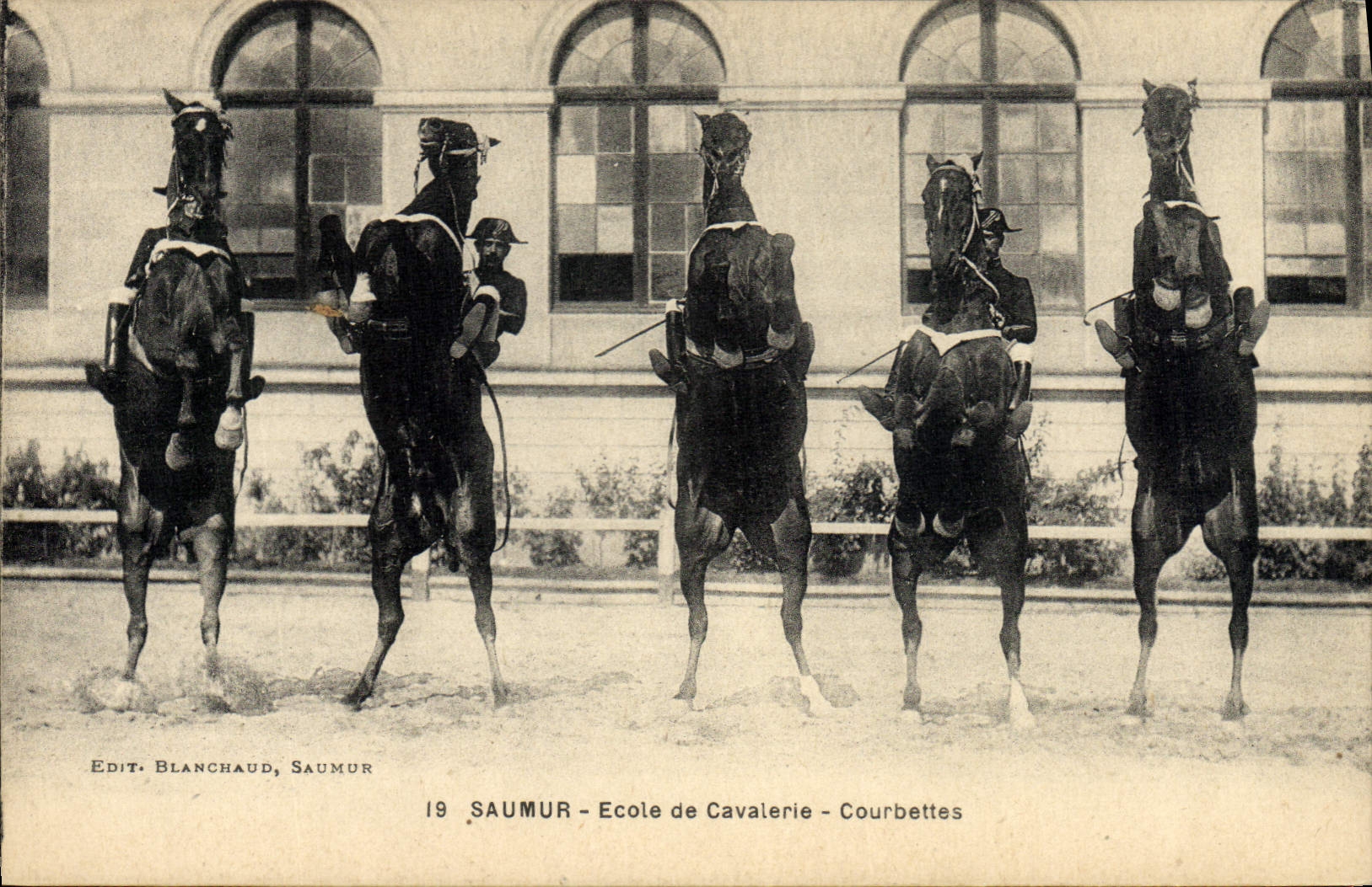CPA Cheval Equitation Hippisme Saumur Ecole de cavalerie Courbettes