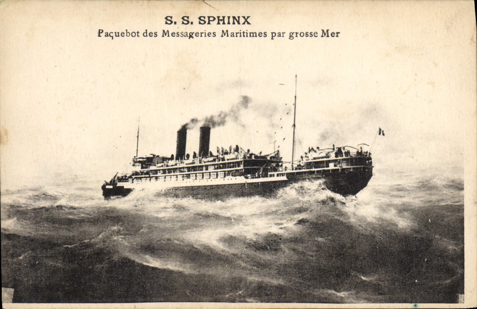 CPA Bateau SS Sphinw Paquebot des Messageries maritimes