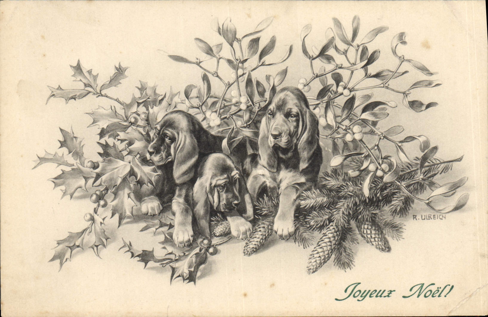 VINTAGE POSTCARD Fantasy Illustrator Dog Dogs