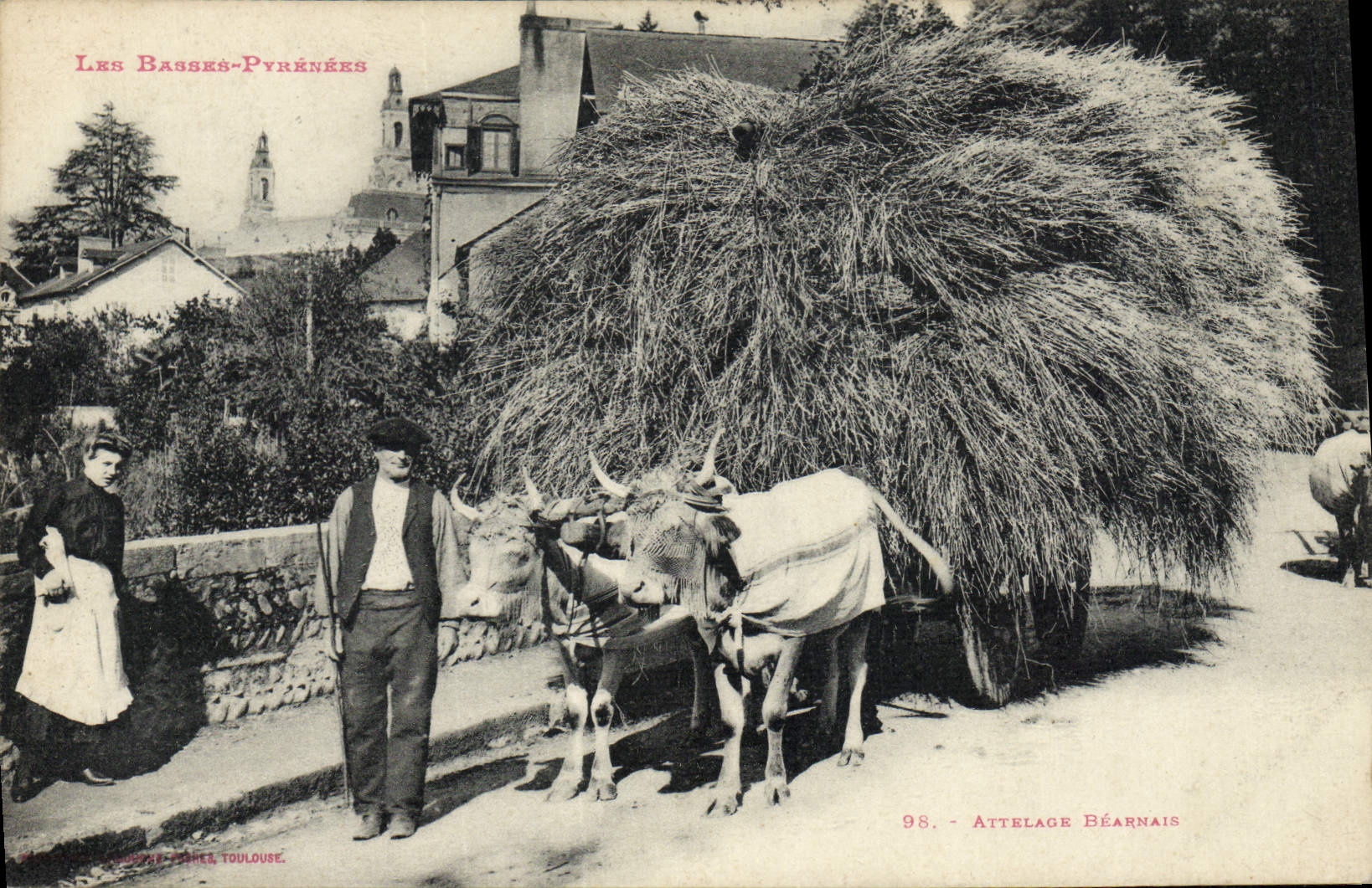 CPA Folklore Basses Pyrenees Attelage Bearnais Boeufs TOP