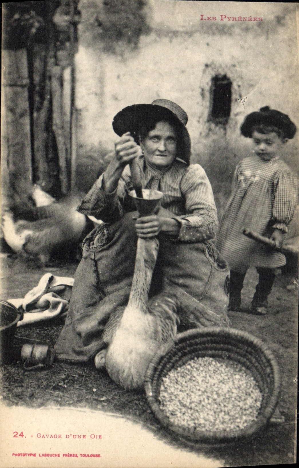 VINTAGE POSTCARD Folklore Cramming of a goose the Pyrenees TOP