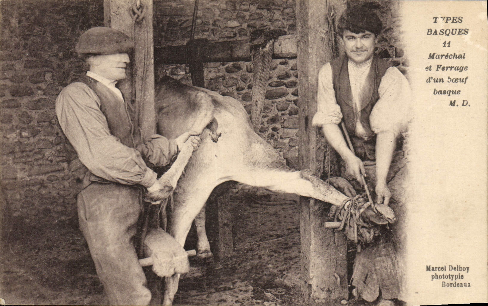 CPA Folklore Types basques Marechal et ferrage d'un boeuf basque TOP