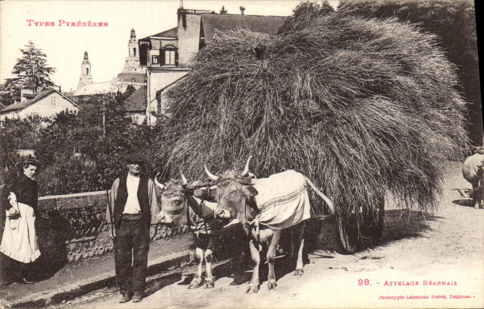 CPA Folklore Attelage bearnais Boeufs TOP Pyrenees