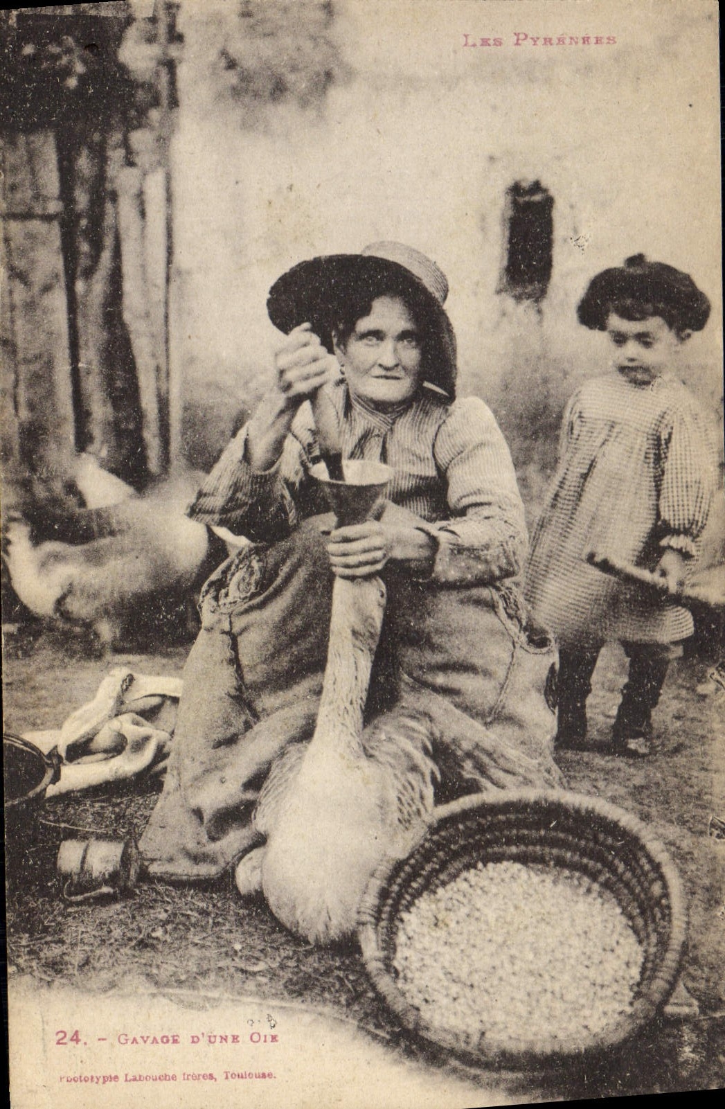 CPA Folklore Gavage d'une oie Pyrenees