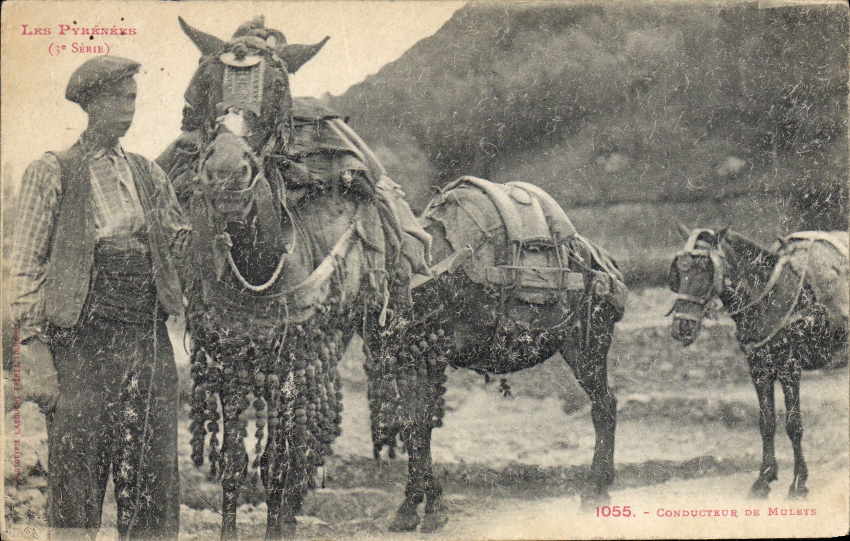 CPA Folklore Conducteur de mulets 