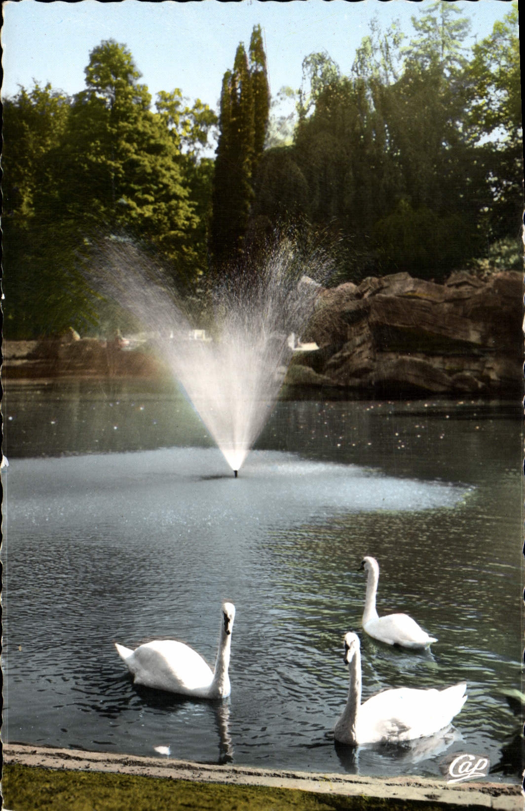 VINTAGE POSTCARD Valencian Garden of Rhonelle Swans