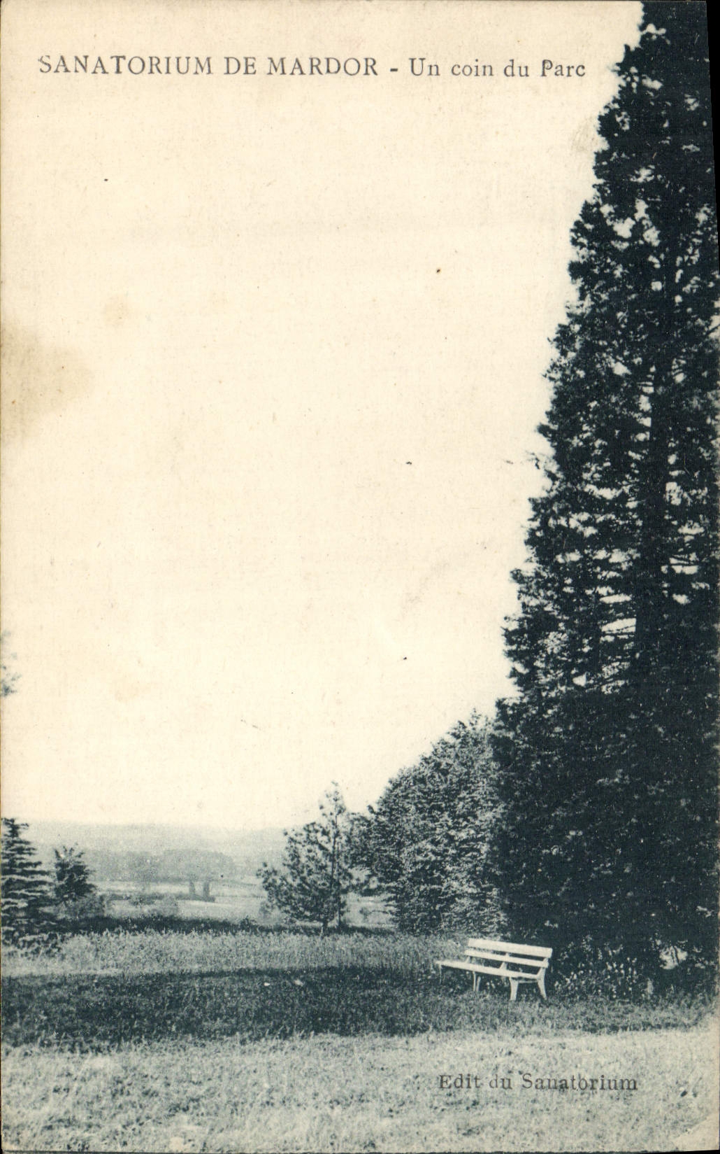 Sanatorio de la POSTAL de la VENDIMIA de Mardor una esquina del parque